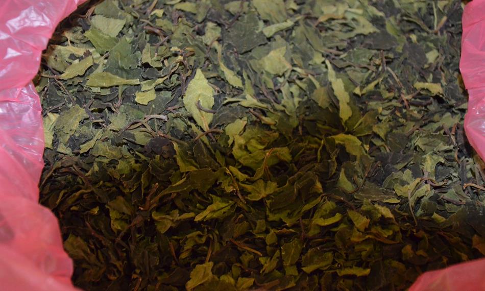 2016-9-30-1252hlavní foto.jpg